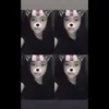 cobebiluadoi_2603213