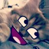 zaxx_702