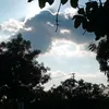bim_bim1210212