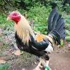 mokkkii10