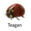 lovebugtea