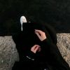 user7439701481721