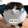 v.l.ekob_3