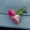 ayo_sh88