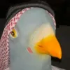 bn0l3
