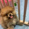jarunee_yy