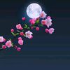 nasrin.begum609
