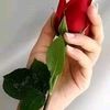 user10401306101932