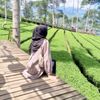 byrifa_na