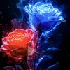 user2776059220925