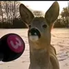 thatdamnsink
