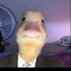 aqilmhnxs0t
