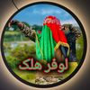 hikmatkhan8766