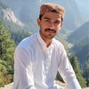 hamid.shah6380