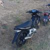 gar__tr