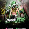pixxy.store