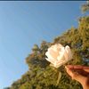 user9609081844033