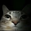 noname_chelik0