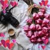 mandy.hamdy4