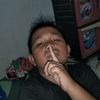zid8175