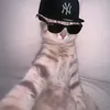 googlymoogly1234