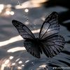 arif.hossen6378