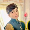 malik.ibrahim8034