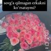 mobil.olamlae