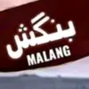 rizubangash44