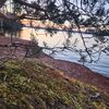 leelee_1341