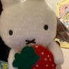 lyyfreelance_