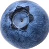 ieat_sawdust