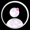 mdismail234501