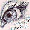 maghsoud.habibi3