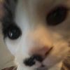 toast_stink