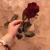 alktabya1