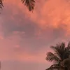 hzzxytiktok
