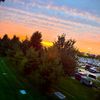 landon_503