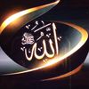 user651964024