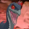 tom.com110