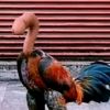 farhann.002