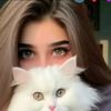 user9229729170265