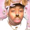 theguy6153