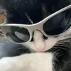 harold_sakur4