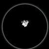 riyad.hasan3955