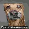 frodya_42
