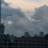 griffala_04