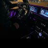 008zver