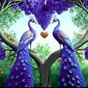 user144115441