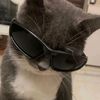this_yaya6